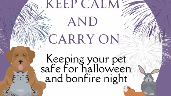 Keep Calm and Carry on, halloween and bonfire night.