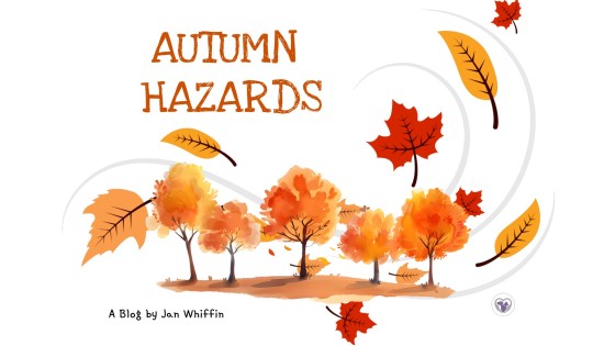 Autumn Dangers for Dogs: Hidden Hazards Every Owner Should Know