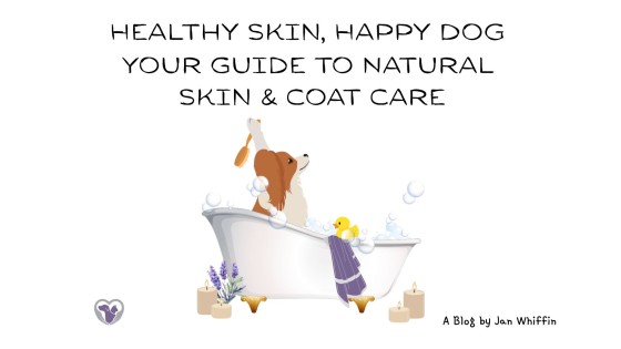 Healthy Skin, Happy Dog: Your Guide to Natural Skin & Coat Care
