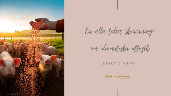 Alla tiders skrivövning – idiomatiska uttryck är kul!