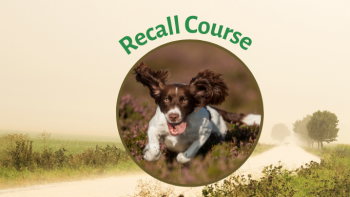course image
