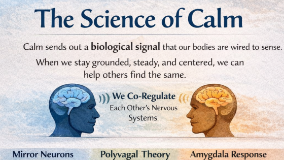 The Science of Calm: How Your Nervous System Shapes the Space Around You