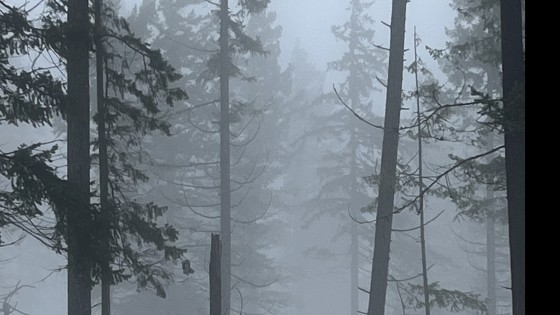 Each Breath Is a New Moment: Where Presence-Led Leadership Begins