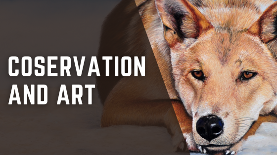Conservation & Art