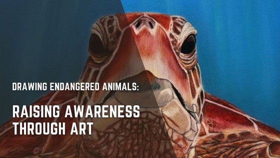 Drawing Endangered Animals: Raising Awareness Through Art