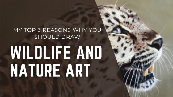 My top 3 reasons why you should draw wildlife & nature
