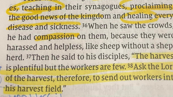 The Harvest is Plentiful - Will You Be a Laborer? 