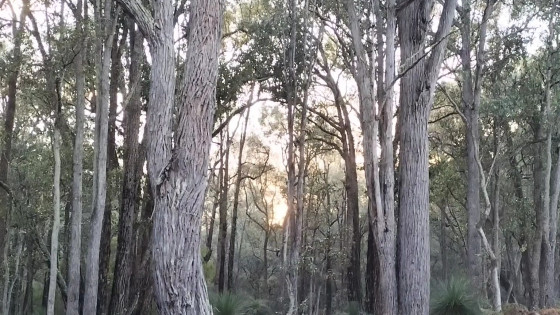 Welcome to the Centre for Humanity Learning