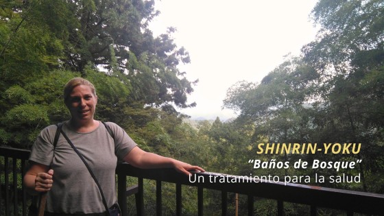 Shinrin-yoku: El arte japonés de sanar con la naturaleza