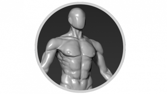Training your eye – ZBrush Anatomy and Character Creation Course