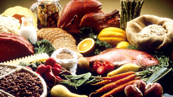 Anti-Nutrients - Is There a Downside to Plant Based Eating?