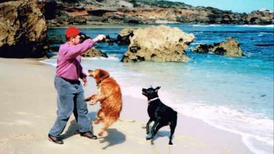 Play Rules! What’s it all about?