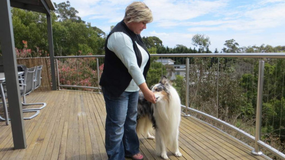 Stop Your Dog Mugging For Food: A Practical Guide