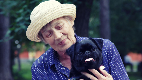 Handle with care: the practical stuff!