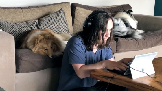 Working from home with dogs… survive and enjoy it!