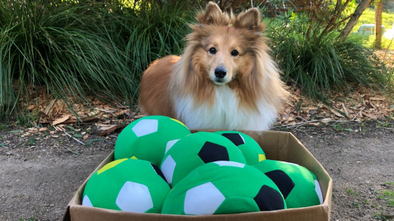 Playing with your dog’s instincts