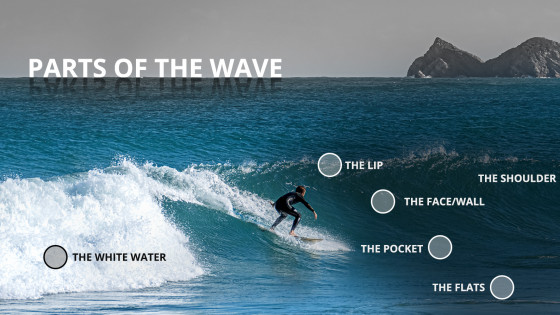 Learn Surfing - Parts of the Wave
