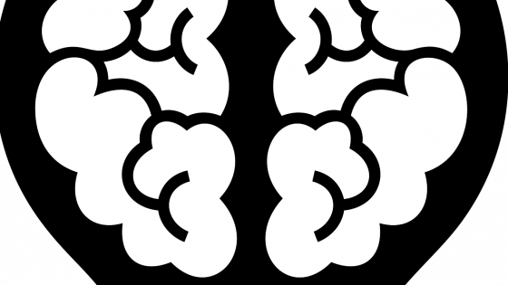 Is Left/Right Brain a Myth?