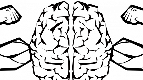 More on the Left/Brain Right Brain (McGilchrist insights)