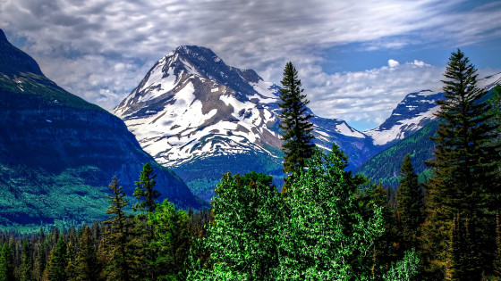 Git Bisect and History Rewriting