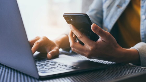 Recognizing and Avoiding Online Fraud and Scams