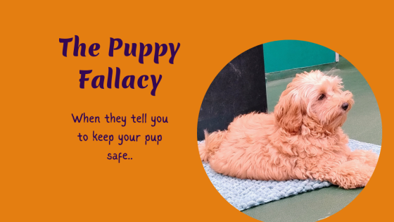 The Puppy Fallacy