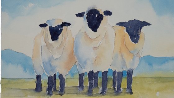 A step-by-step guide to painting romantic Shetland Sheep