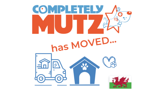 Completely Mutz has moved... moving with an anxious dog