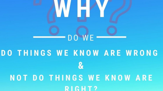 Why do we procrastinate?