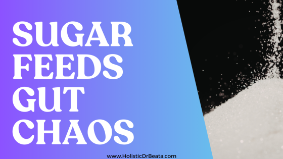 Less Sugar, More Fat & Protein: Why This Shift Matters for Gut Health, Detox, and Healing