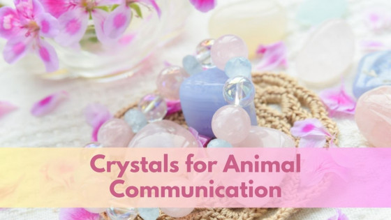 Crystals for Animal Communication