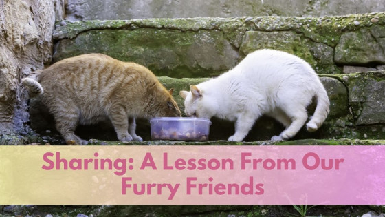 Sharing: A Lesson from Our Furry Friends