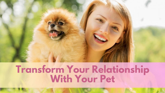 Transform Your Relationship With Your Pet Through Spiritual Tools