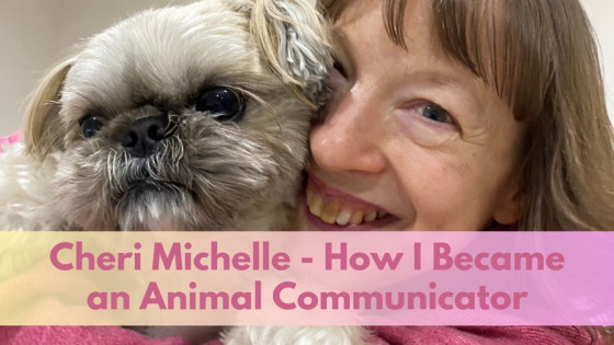 Cheri Michelle - How I Became an Animal Communicator