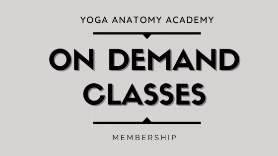 These Classes Just Hit Different. A love note.