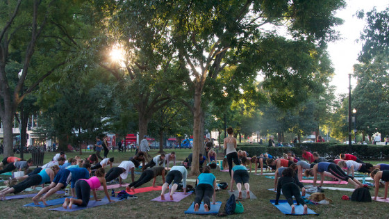 Why Vitamin D is Key for Muscle Health 