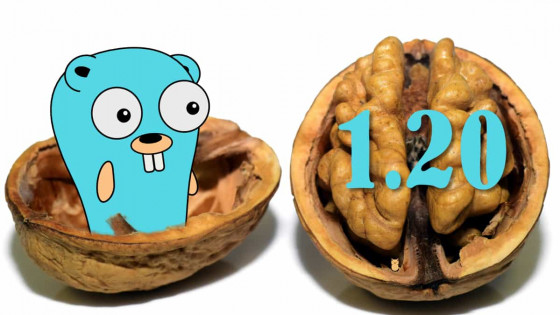 Go 1.20 in a nutshell