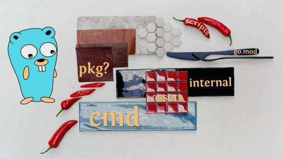 The one-and-only, must-have, eternal Go project layout