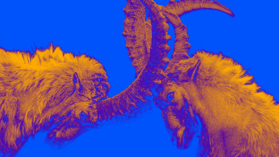 How To Solve The  “Best Practice” Conflict  Between Marketing And Creative