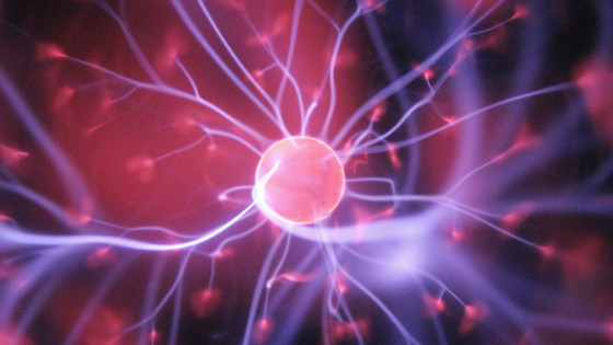 Does Quantum Physics Explain  Human Consciousness?