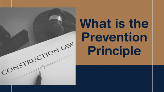 What is the Prevention Principle?