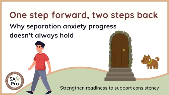 One step forward, two steps back: why separation anxiety progress doesn’t always hold