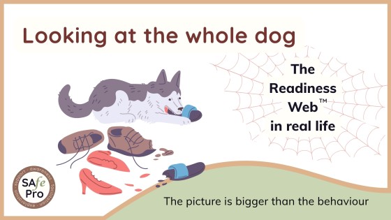 Looking at the whole dog: The Readiness Web™ in real life