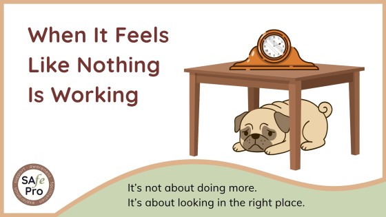 When It Feels Like Nothing Is Working