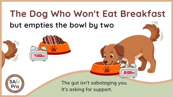 The Dog Who Won't Eat Breakfast But Empties The Bowl By Two