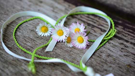 Be your own Valentine