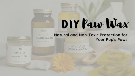 DIY Dog Paw Wax: Natural, Non-Toxic Paw Protection
