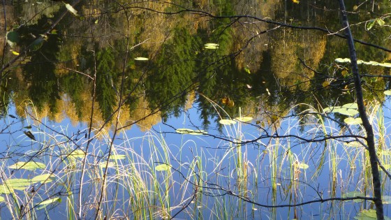 Hvem sin sannhet speiler du deg i?