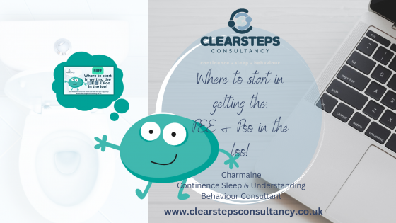 Where to start in getting the PEE & the Poo in the loo?