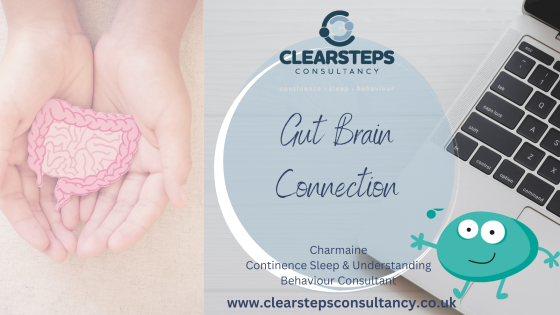 Gut brain connection